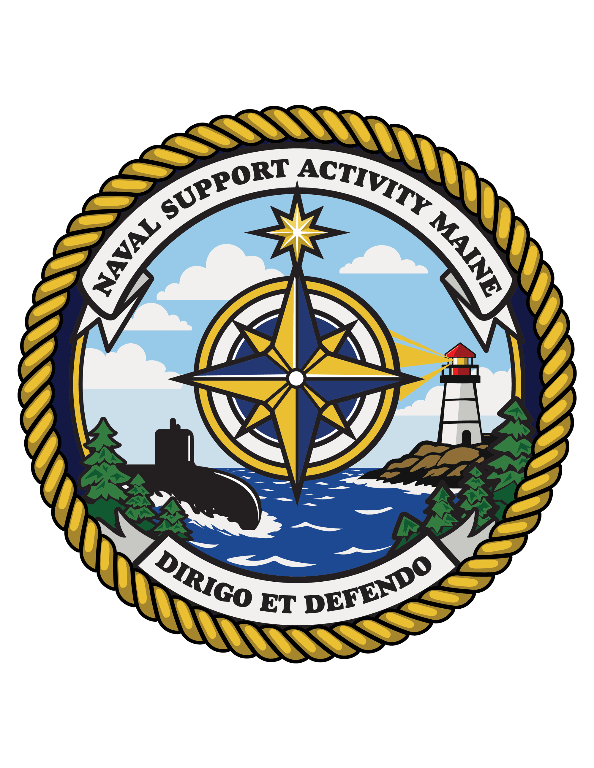 NSA Maine logo